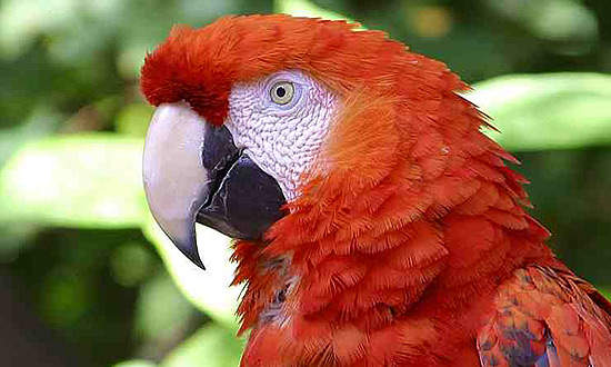 Drug communications have actually been stated with Zithromax.