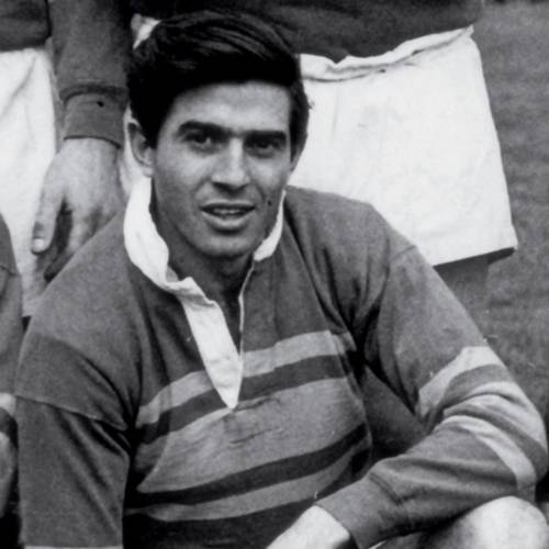 Wilf Rosenberg